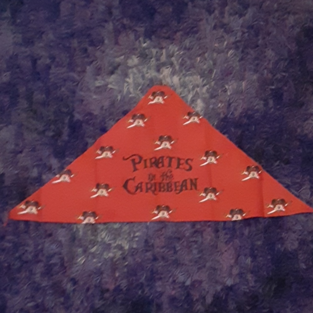 A Mickey pirate bandana
